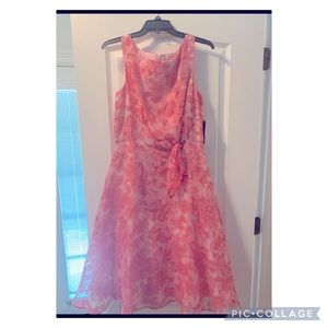 Jessica Howard dress